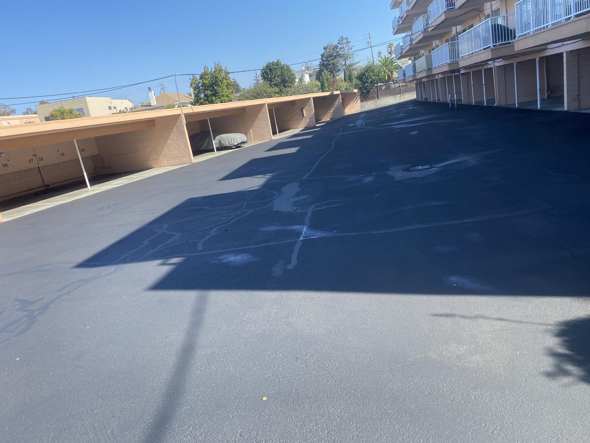 Professional asphalt crack filling expertise.