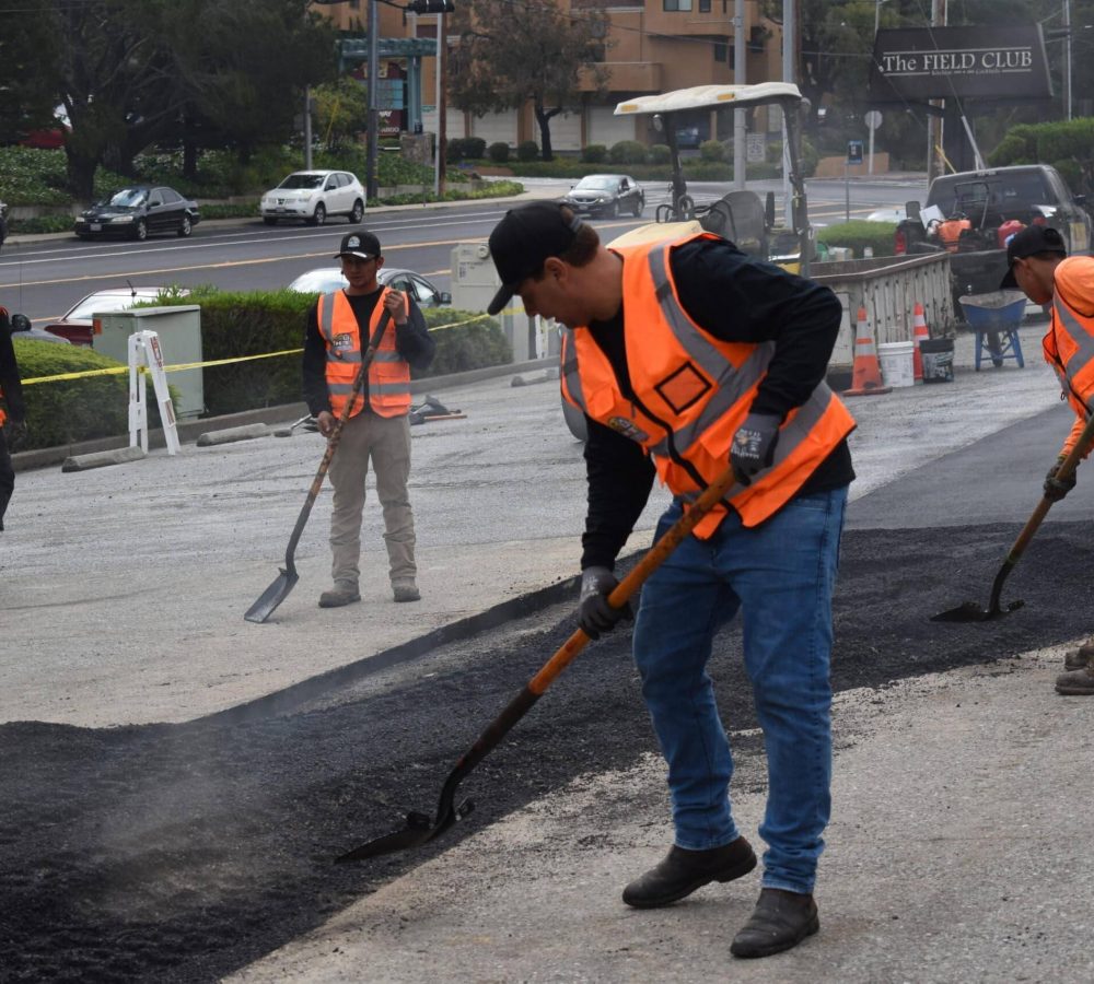 imgi_31_DSC_0387-scaled